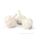 https://www.bossgoo.com/product-detail/best-round-garlic-bag-56288115.html